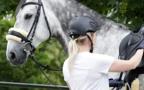 Reiterin sattelt graues Pferd. Das Lammfell am Zaumzeug und Sattel ist sauber und bereit für den Ausritt.