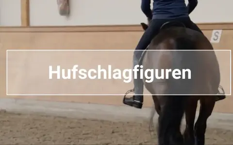 Reiter übt Hufschlagfiguren mit einem Pferd in einer Reithalle. Kinder lernen hier das Reiten.