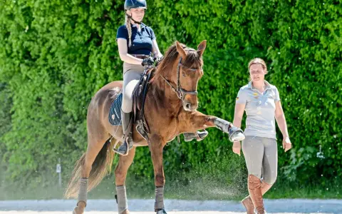 Ein Quarter Horse in Dressur-Training hebt sein Bein, während die Reiterin und die Trainerin aufmerksam zusehen.