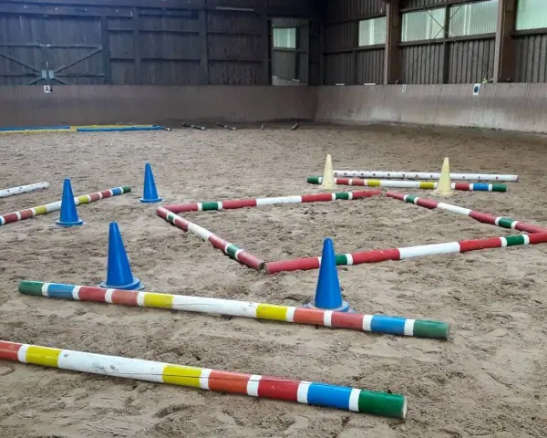 Bunte Stangen und blaue Kegel bilden einen Parcours in einer Reithalle. Der **Abstand der Trabstangen** ist für das Training eines Pferdes vorbereitet.