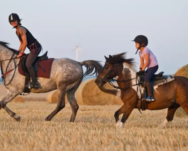 Zwei Reiterinnen, eine Frau und ein Kind, reiten auf Pferden durch ein Feld mit Strohballen.