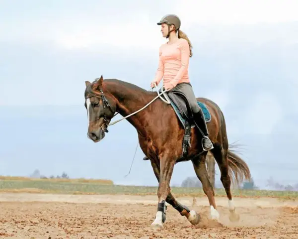 Junge Frau im Helm reitet auf einem braunen Pferd im Kreis. Sie übt das Voltigieren auf einem sandigen Reitplatz.