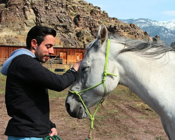 Mann streichelt Pferd, zeigt Vertrauen und Harmonie im **natural horsemanship**. Im Hintergrund eine rustikale Scheune und Berge.