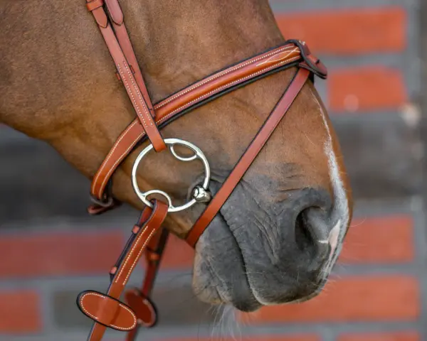 Braunes Pferd mit einem Lederzaumzeug und einem 3-Ring-Gebiss, das für eine feine Einwirkung sorgt.