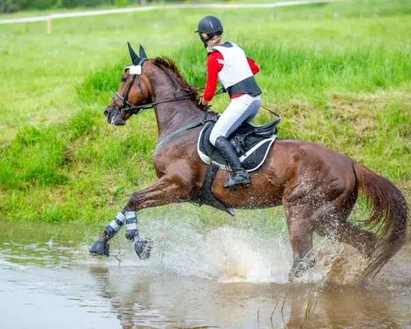 Ein Reiter durchquert mit seinem Pferd eine Wasserstelle. Ein dynamisches Bild aus dem Bereich der Pferde Sportarten.
