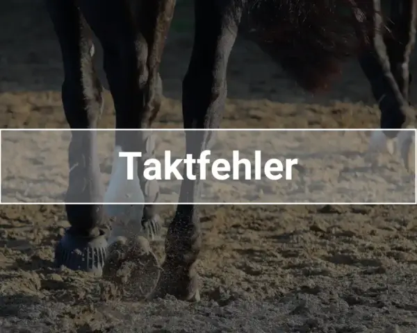 Nahaufnahme von Pferdebeinen auf Sand. Der Text "Taktfehler" ist überlagert, was auf einen Fehler im Gang des Pferdes hinweist.