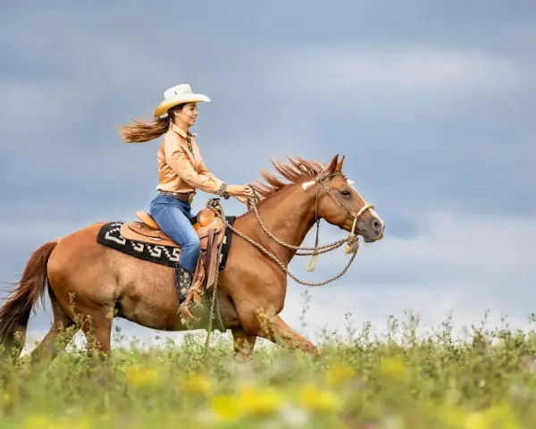 Eine Frau in Cowboykleidung reitet auf einem braunen Pferd durch eine blühende Wiese. Dieses Pferd, eine typische pferderasse mit toller Ausstrahlung, galoppiert unter dem dramatischen Himmel.
