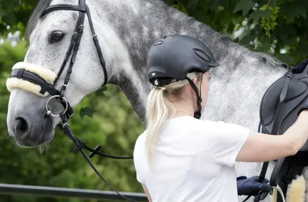 Reiterin sattelt graues Pferd. Das Lammfell am Zaumzeug und Sattel ist sauber und bereit für den Ausritt.