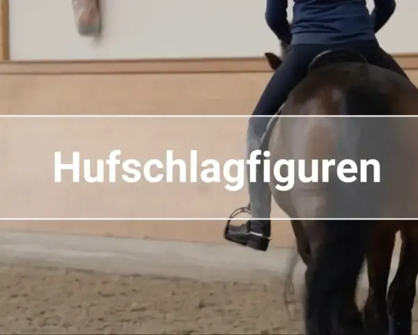 Reiter übt Hufschlagfiguren mit einem Pferd in einer Reithalle. Kinder lernen hier das Reiten.