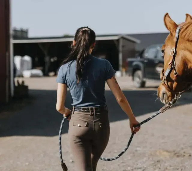 Frauen mit Pferd, bereit für Polo Sport.
