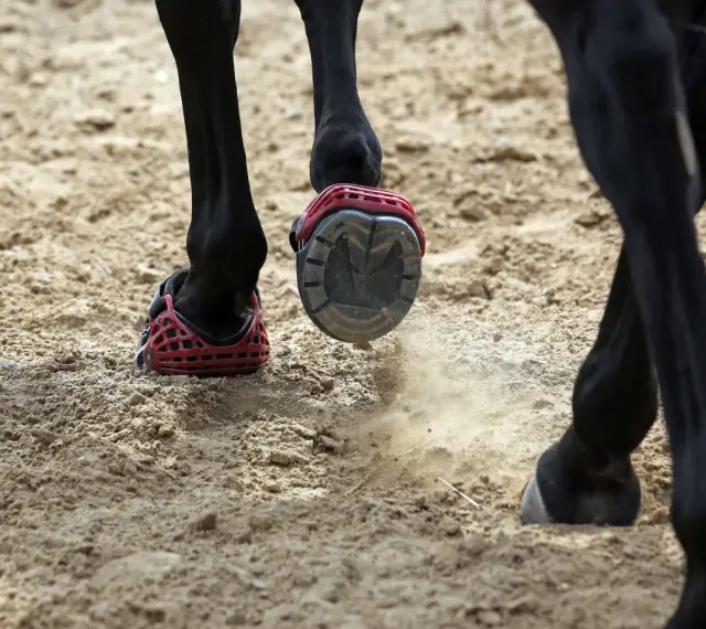Schwarzes Pferd mit roten Hufschuhen auf sandigem Boden. Ein Hufschuh wirbelt Staub auf.