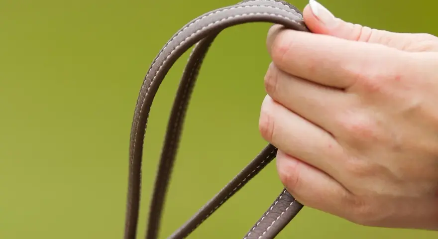 Eine Hand hält die Zügel. Die Handhaltung beim Reiten ist entscheidend für die Kommunikation mit dem Pferd.