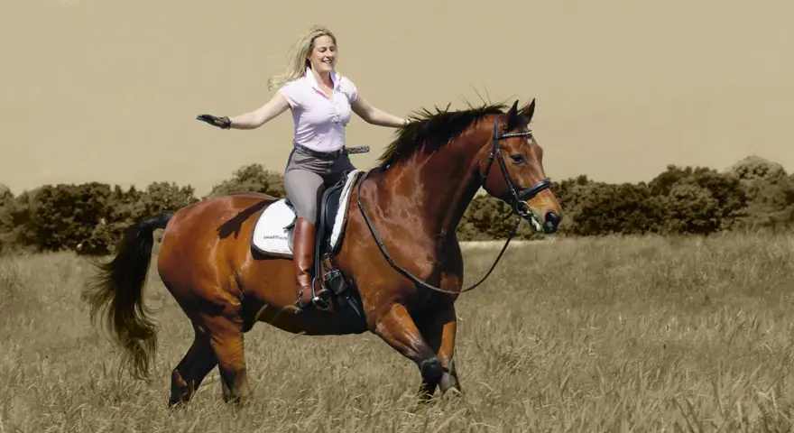 Eine Frau mit blonden Haaren reitet fröhlich auf einem braunen Pferd durch ein Feld. Sie trägt Reithosen und Stiefel. Das Bild vermittelt ein Gefühl von Freiheit und Freude beim Reiten.
