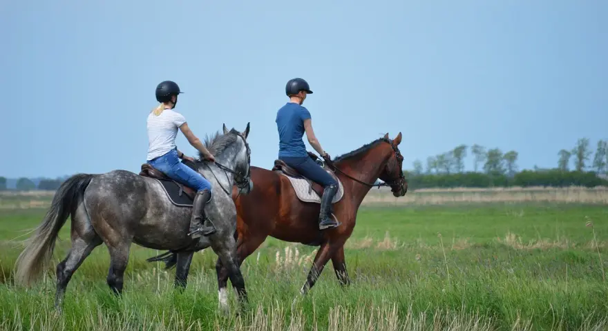 Zwei Reiterinnen auf Pferden im Feld. Die Frage "wie lange braucht man um reiten zu lernen" beschäftigt viele Anfänger.