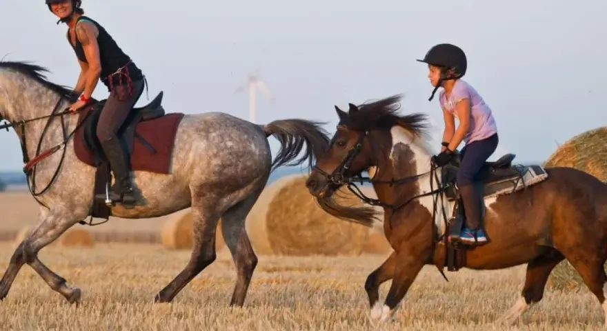 Zwei Reiterinnen, eine Frau und ein Kind, reiten auf Pferden durch ein Feld mit Strohballen.