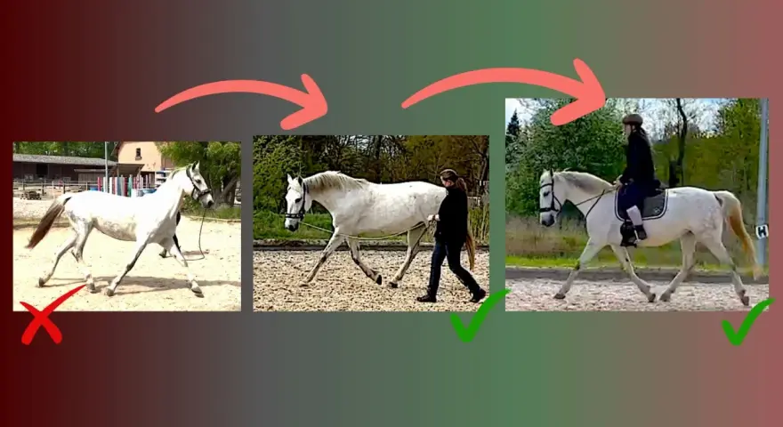 Schritt reiten: Vom falschen zum richtigen Gang für Muskelaufbau. Pferd wird korrekt geführt und geritten.