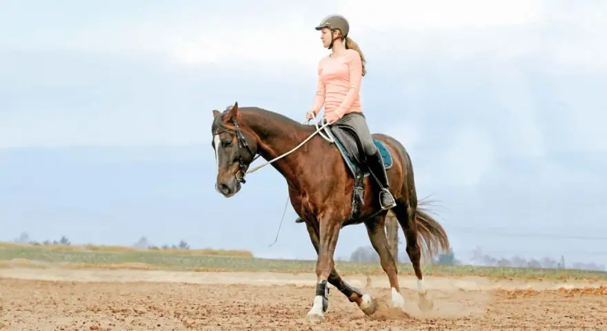 Junge Frau im Helm reitet auf einem braunen Pferd im Kreis. Sie übt das Voltigieren auf einem sandigen Reitplatz.