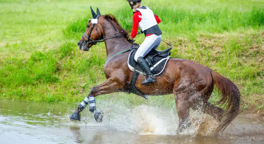Ein Reiter durchquert mit seinem Pferd eine Wasserstelle. Ein dynamisches Bild aus dem Bereich der Pferde Sportarten.