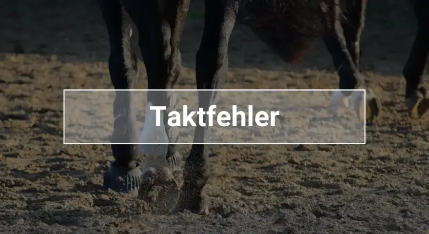 Nahaufnahme von Pferdebeinen auf Sand. Der Text "Taktfehler" ist überlagert, was auf einen Fehler im Gang des Pferdes hinweist.