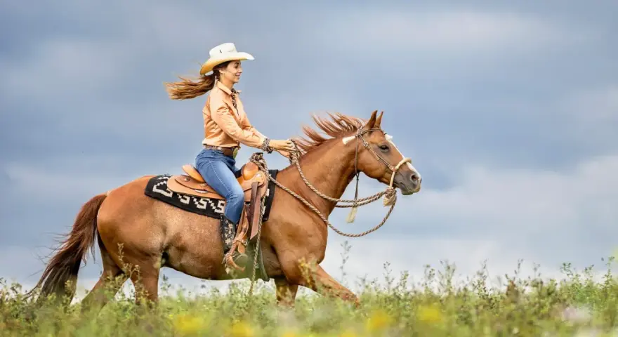 Eine Frau in Cowboykleidung reitet auf einem braunen Pferd durch eine blühende Wiese. Dieses Pferd, eine typische pferderasse mit toller Ausstrahlung, galoppiert unter dem dramatischen Himmel.