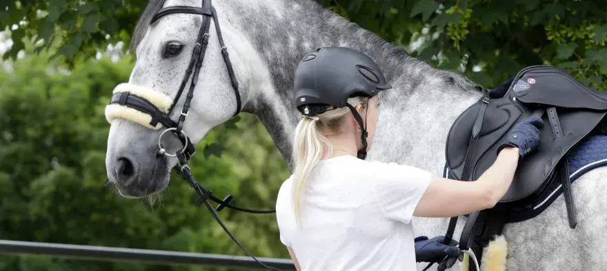 Reiterin sattelt graues Pferd. Das Lammfell am Zaumzeug und Sattel ist sauber und bereit für den Ausritt.
