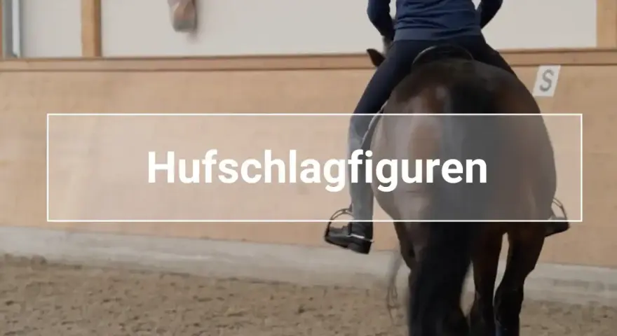 Reiter übt Hufschlagfiguren mit einem Pferd in einer Reithalle. Kinder lernen hier das Reiten.