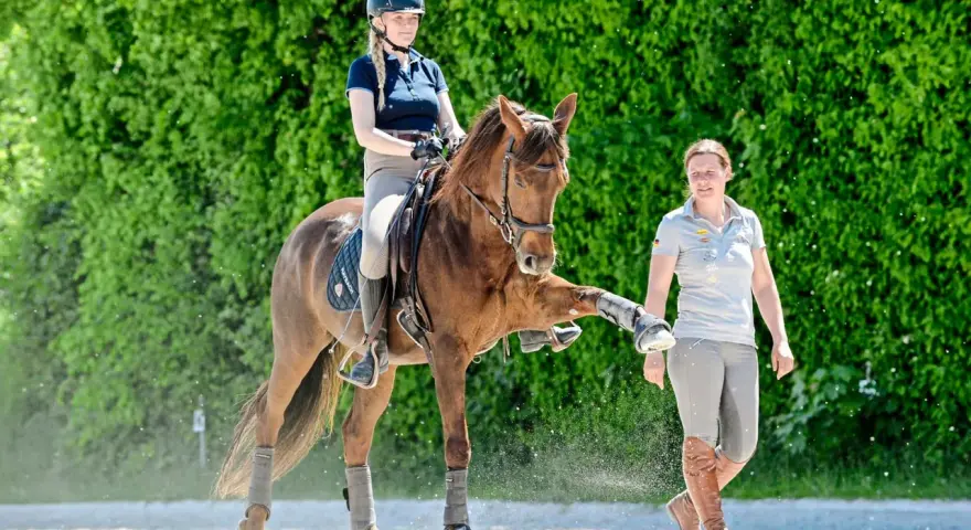 Ein Quarter Horse in Dressur-Training hebt sein Bein, während die Reiterin und die Trainerin aufmerksam zusehen.