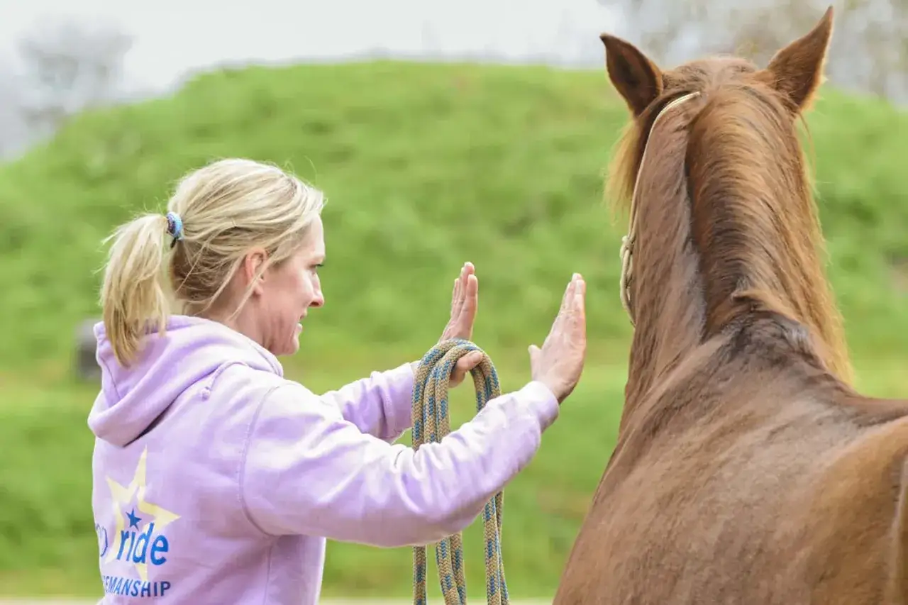 Eine Frau mit einem Pferdeschwanz gibt einem braunen Pferd Anweisungen. Das Pferd dreht sich im Kreis, während die Frau die Hände hebt.