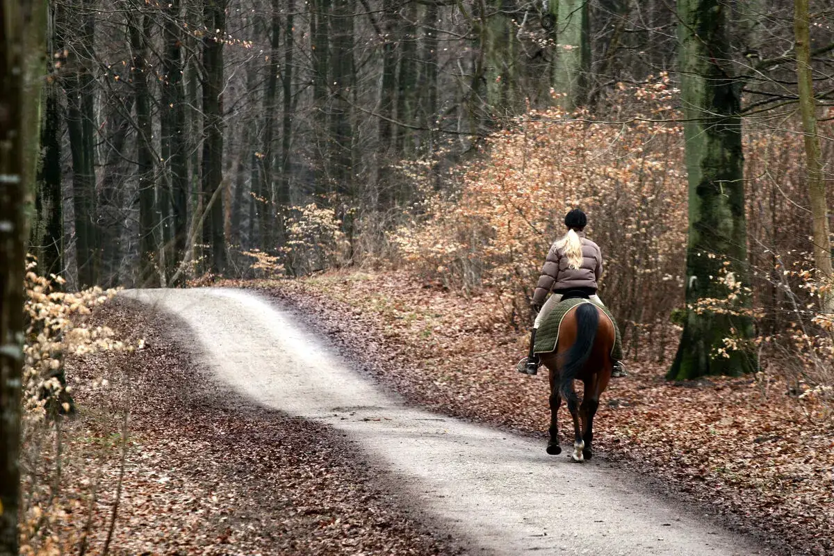 Reiterin genießt ein einsames pferd ausreiten auf einem herbstlichen Waldweg, umgeben von kahlen Bäumen und Laub.