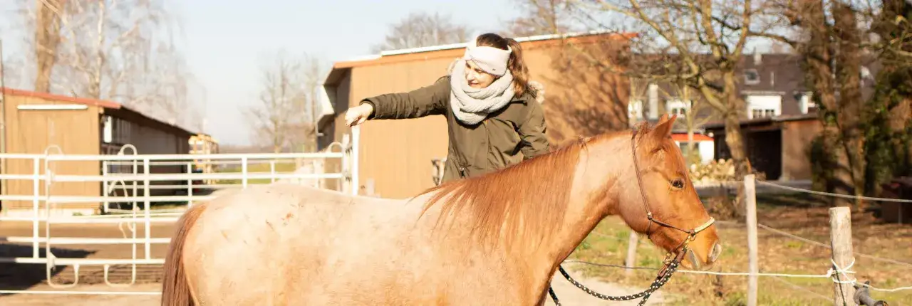 Ein braunes Pferd bleibt beim Aufsteigen nicht stehen. Die Reiterin versucht, es zu beruhigen, während sie auf dem Hof steht.