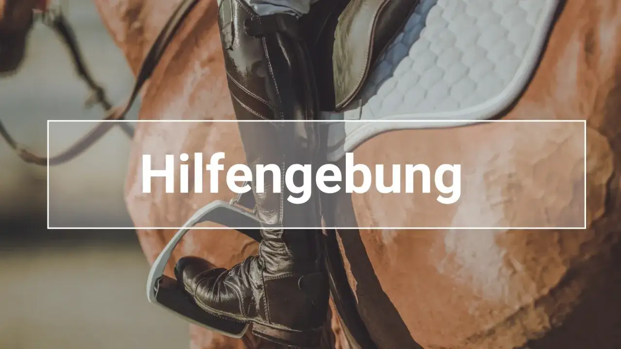 Detailaufnahme einer Reiterin im Sattel, die ihre Handhaltung beim Reiten zeigt.