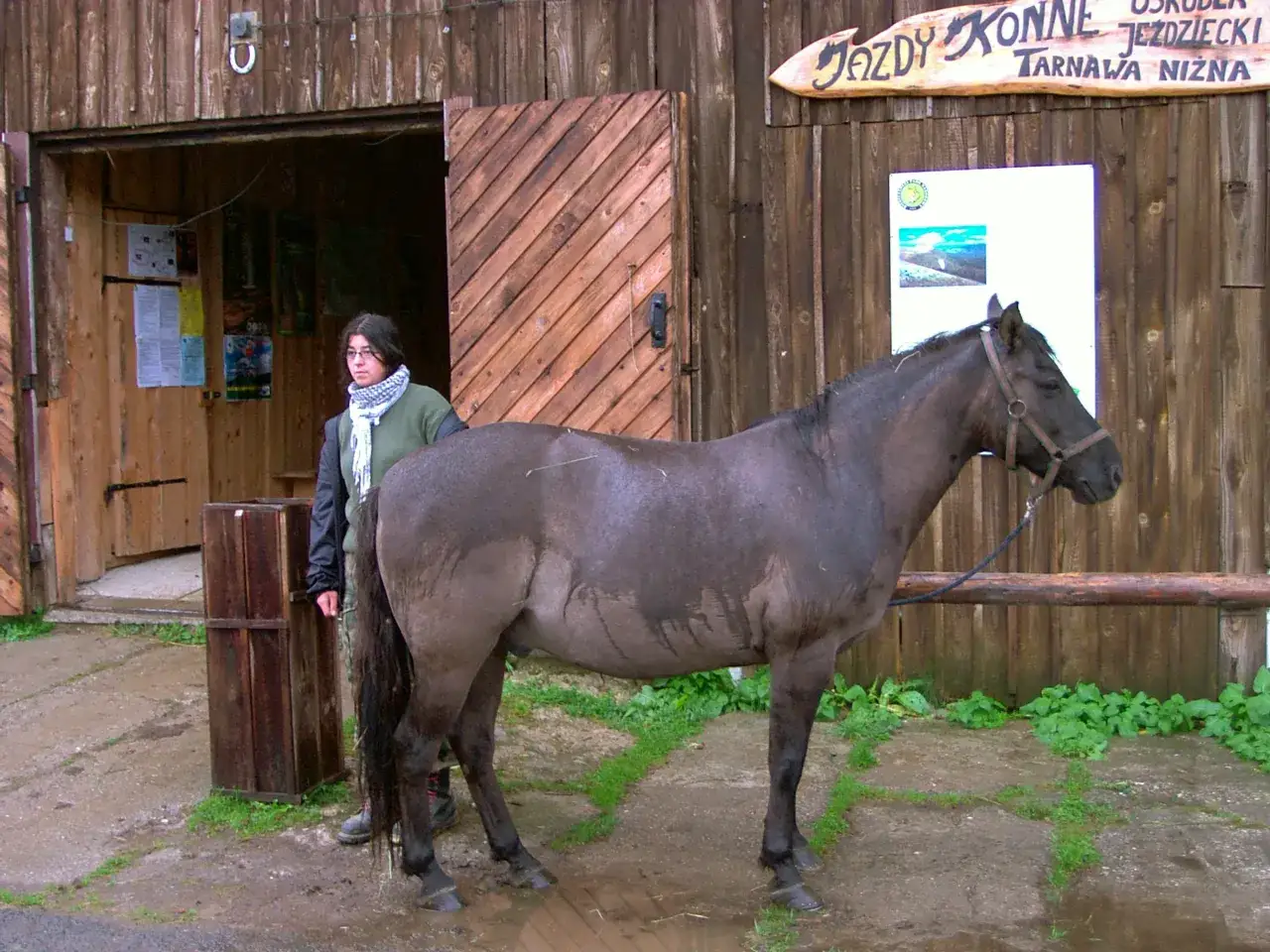 Ein dunkles Pferd steht vor einer Holzhütte. Eine junge Frau mit Schal steht daneben. Hier gibt es Huzulenpferde.