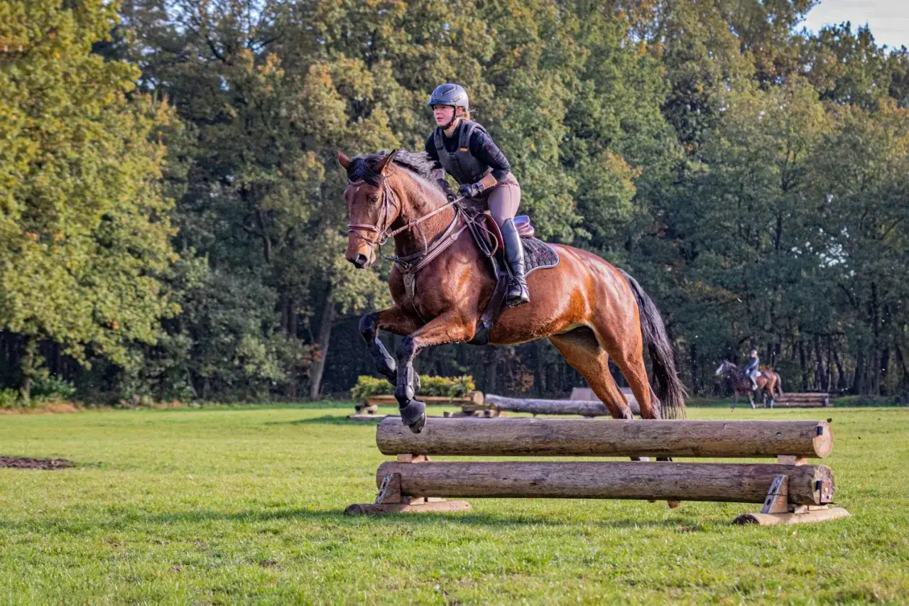 Eine Reiterin in voller Montur meistert mit ihrem braunen Pferd einen Hindernissprung. Das Bild vermittelt Dynamik und die Konzentration beim military reiten.