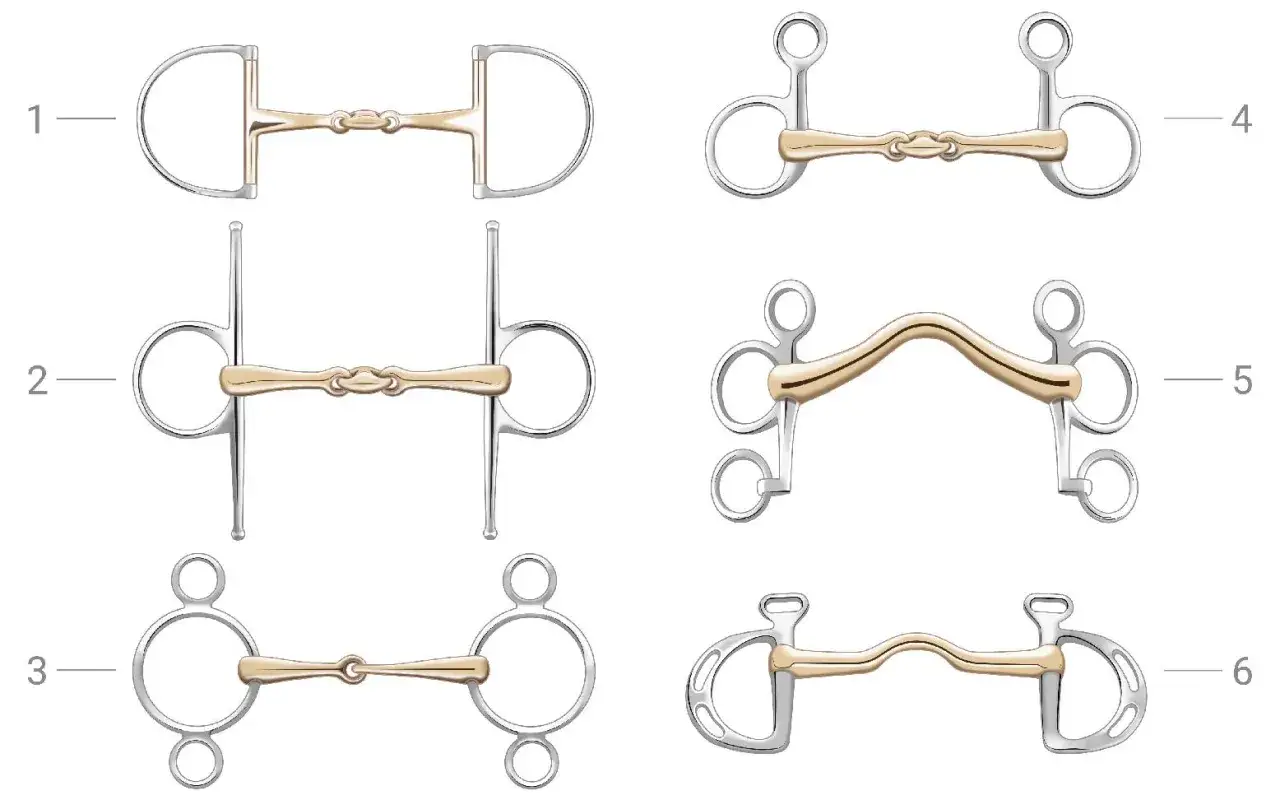 Sechs verschiedene Gebisse mit goldenen Mundstücken. Die 3-Ring Gebiss Wirkung variiert je nach Modell.