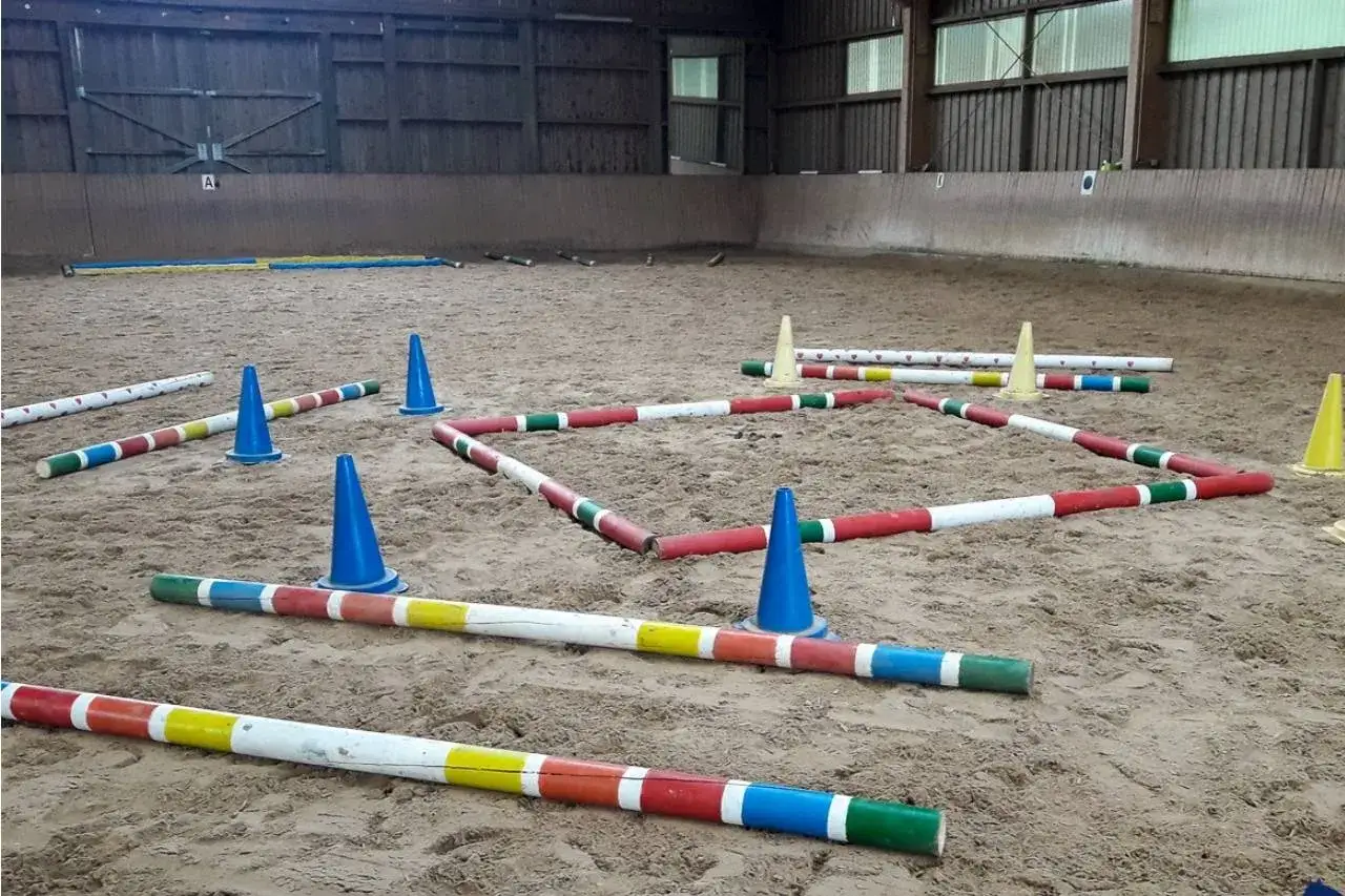 Reiterparcours mit bunten Stangen und blauen Kegeln. Ideal für die Geraderichtung Pferd.