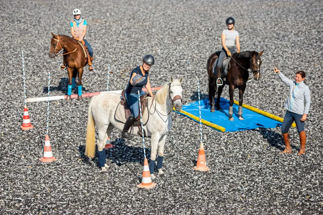 Reiterinnen üben Working Equitation Einsteiger-Übungen mit Hindernissen wie Pylonen und einer Brücke.