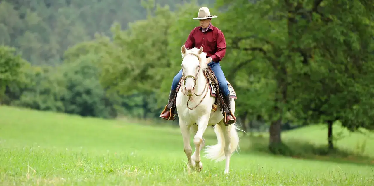 Ein Mann im Cowboyhut reitet auf einem weißen Pferd über eine grüne Wiese. Der Reiter und das Pferd zeigen einen perfekten balance pferd.