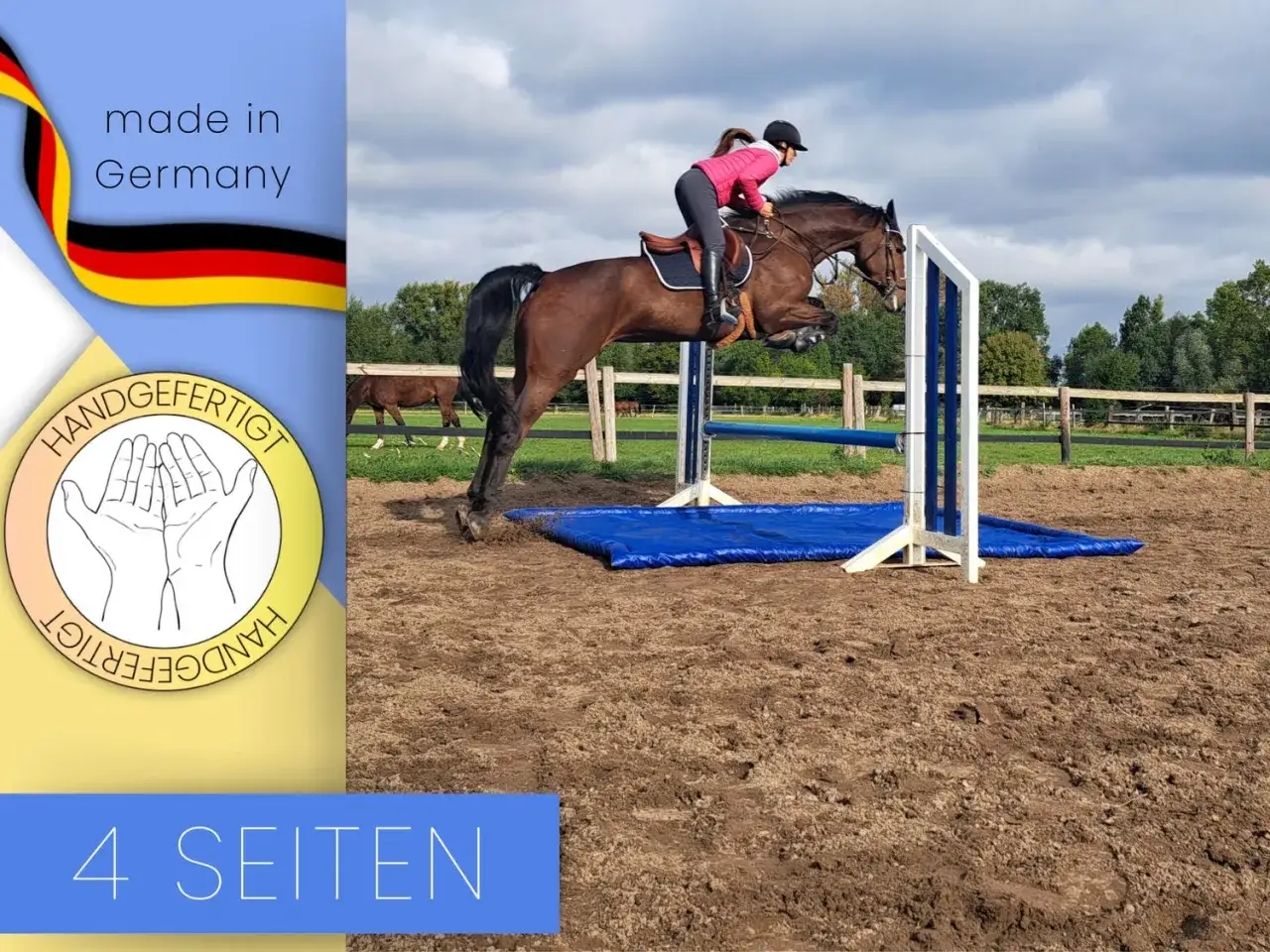 Ein Pferd springt über ein Hindernis beim cross country reiten. Im Hintergrund sind weitere Pferde und Bäume zu sehen.
