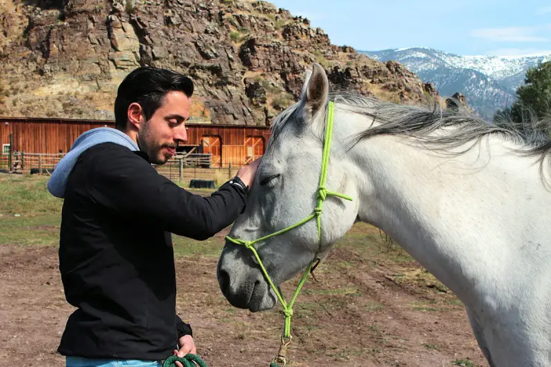 Mann streichelt Pferd, zeigt Vertrauen und Harmonie im **natural horsemanship**. Im Hintergrund eine rustikale Scheune und Berge.