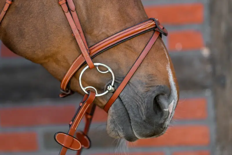 Braunes Pferd mit einem Lederzaumzeug und einem 3-Ring-Gebiss, das für eine feine Einwirkung sorgt.