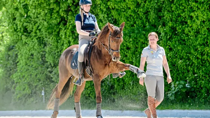 Ein Quarter Horse in Dressur-Training hebt sein Bein, während die Reiterin und die Trainerin aufmerksam zusehen.